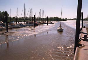 Haseldorfer Hafen